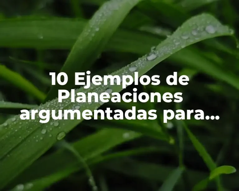 10 Ejemplos de Planeaciones argumentadas para preescolar