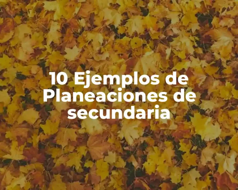 10 Ejemplos de Planeaciones de secundaria
