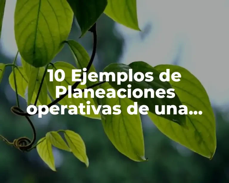 10 Ejemplos de Planeaciones operativas de una empresa que vende perfumes