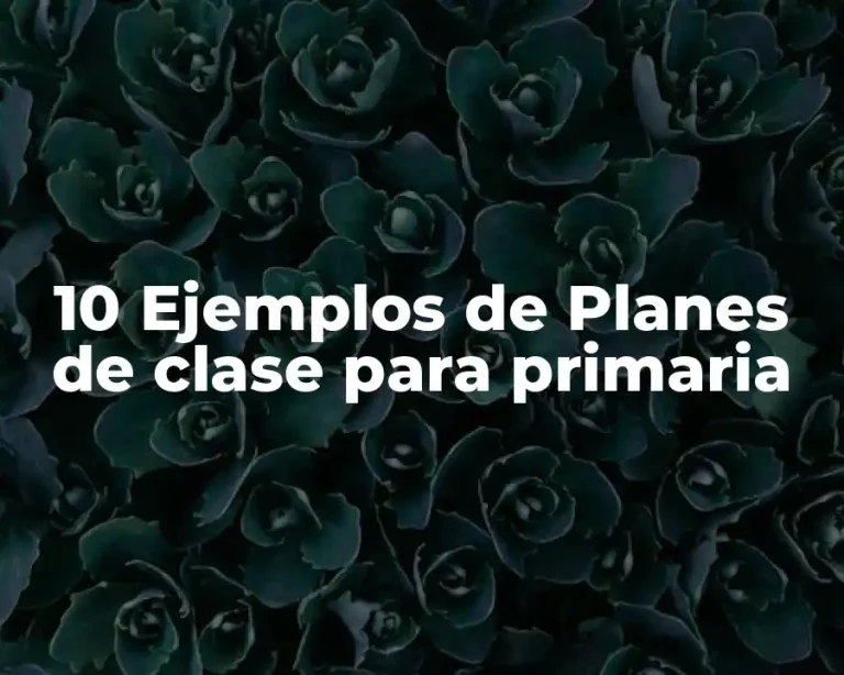 10 Ejemplos de Planes de clase para primaria