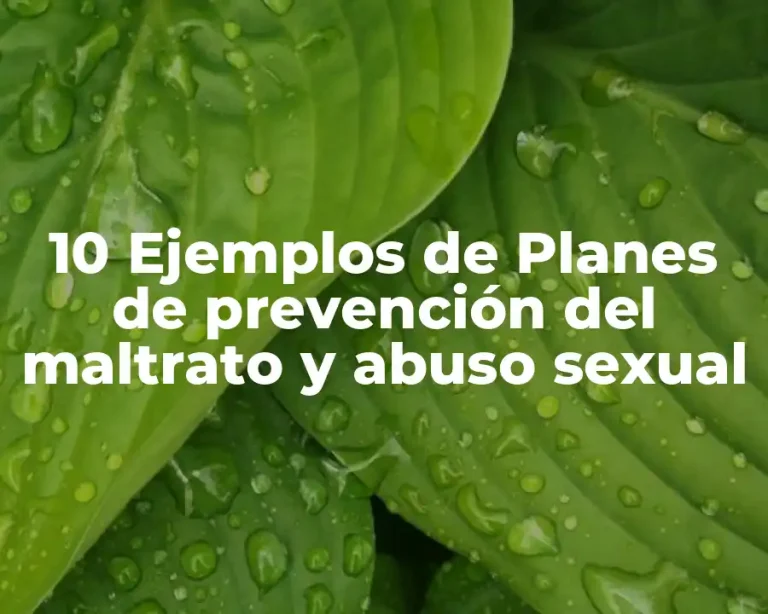 10 Ejemplos de Planes de prevención del maltrato y abuso sexual