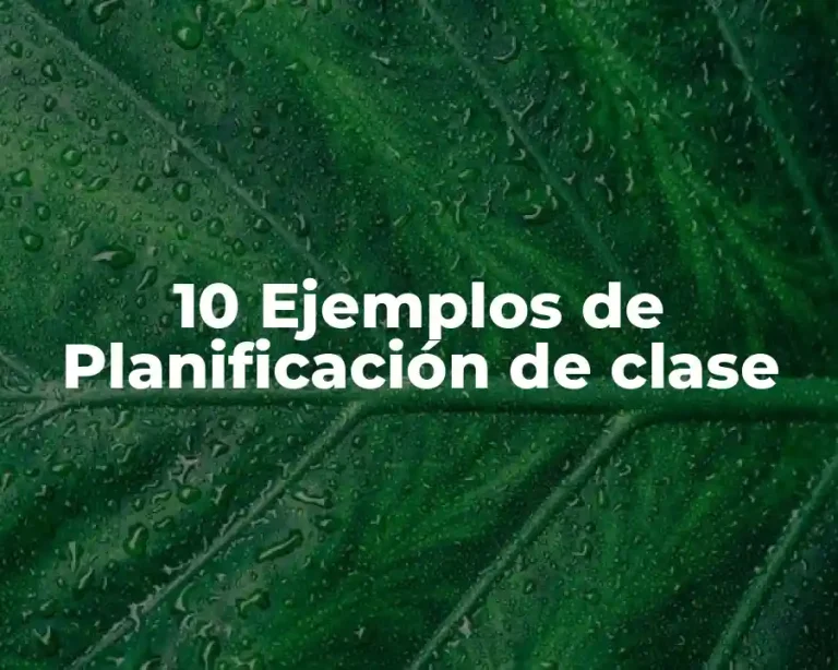 10 Ejemplos de Planificación de clase