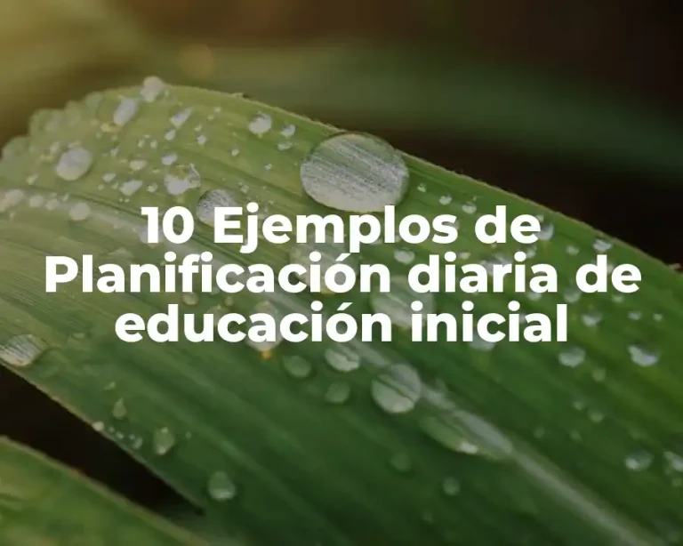 10 Ejemplos de Planificación diaria de educación inicial