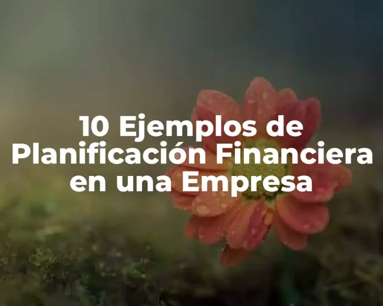 10 Ejemplos de Planificación Financiera en una Empresa