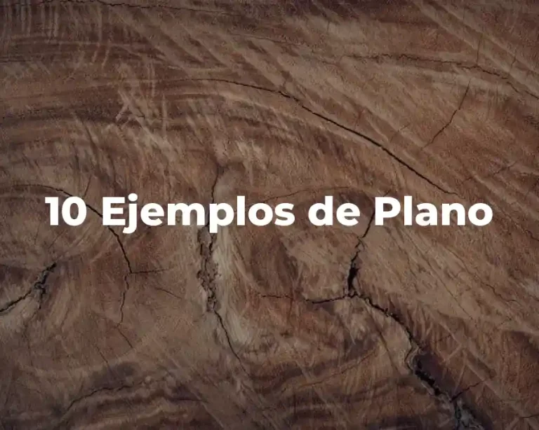 10 Ejemplos de Plano