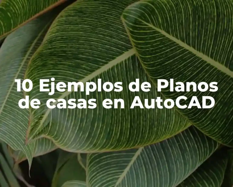 10 Ejemplos de Planos de casas en AutoCAD