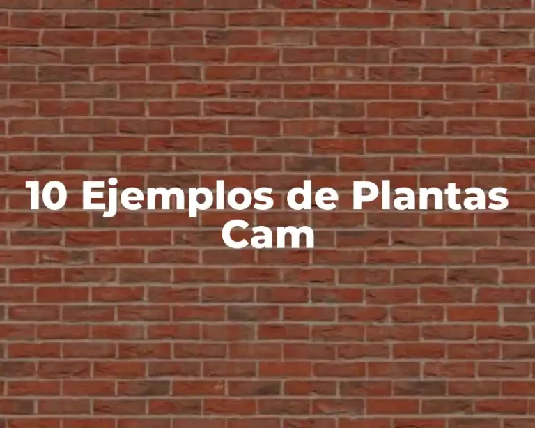 10 Ejemplos de Plantas Cam