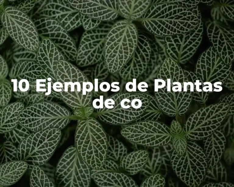 10 Ejemplos de Plantas de co