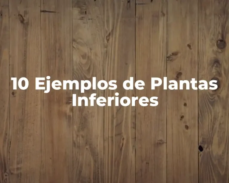 10 Ejemplos de Plantas Inferiores