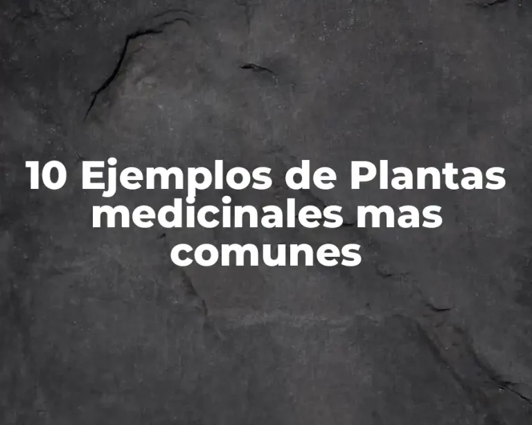 10 Ejemplos de Plantas medicinales mas comunes