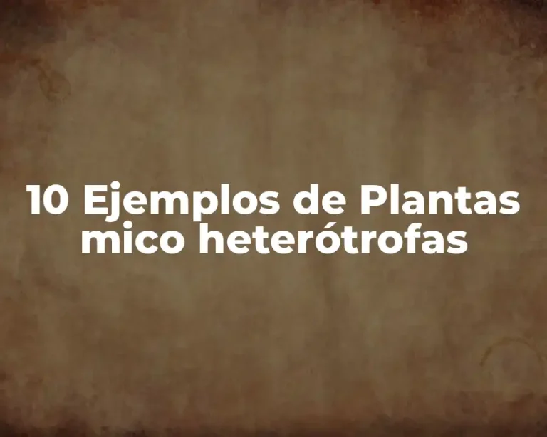 10 Ejemplos de Plantas mico heterótrofas