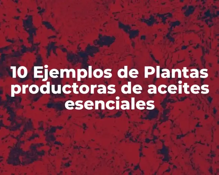 10 Ejemplos de Plantas productoras de aceites esenciales