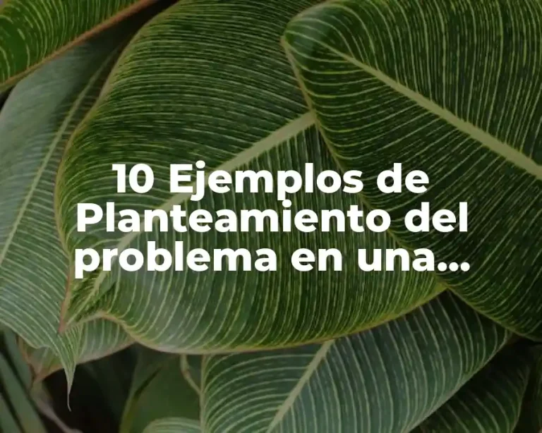 10 Ejemplos de Planteamiento del problema en una monografía
