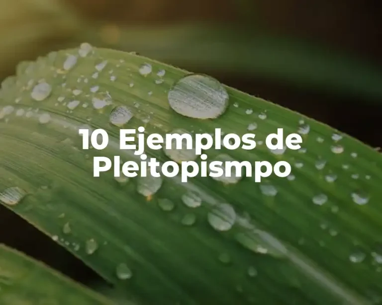 10 Ejemplos de Pleitopismpo