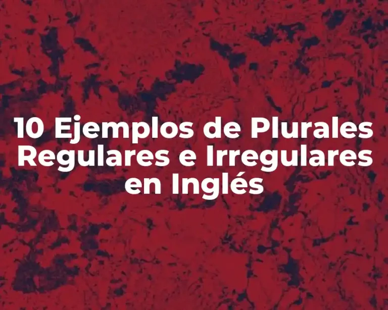 10 Ejemplos de Plurales Regulares e Irregulares en Inglés