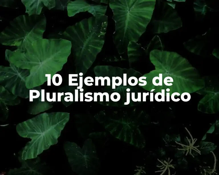10 Ejemplos de Pluralismo jurídico