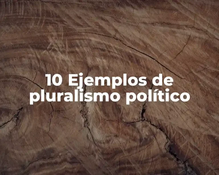 10 Ejemplos de pluralismo político