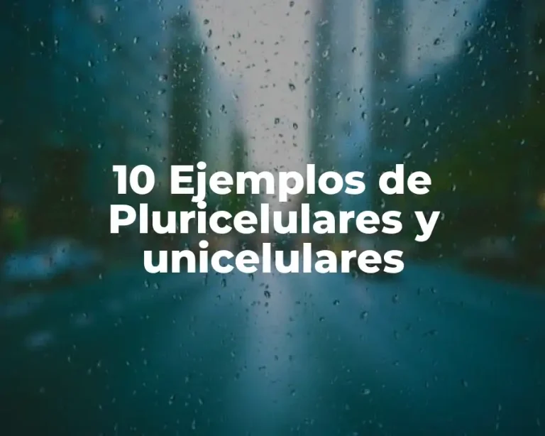 10 Ejemplos de Pluricelulares y unicelulares