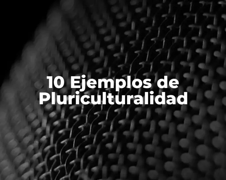 10 Ejemplos de Pluriculturalidad