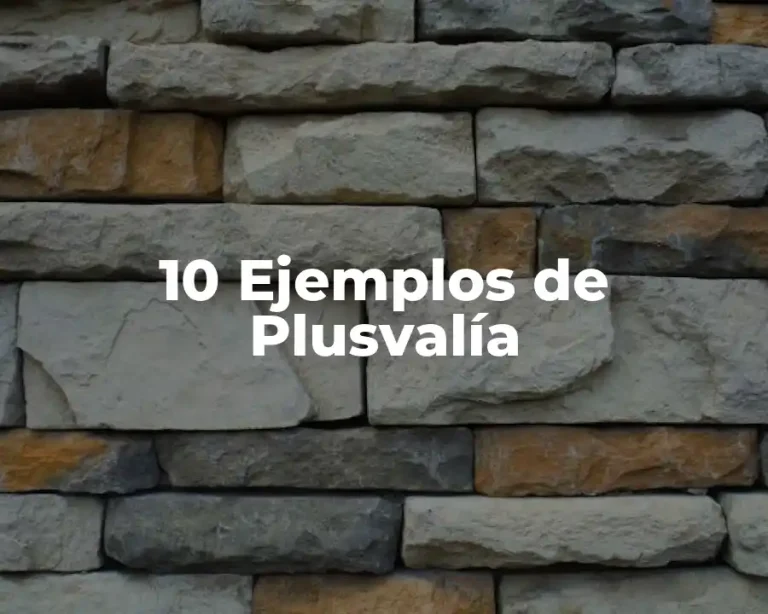 10 Ejemplos de Plusvalía