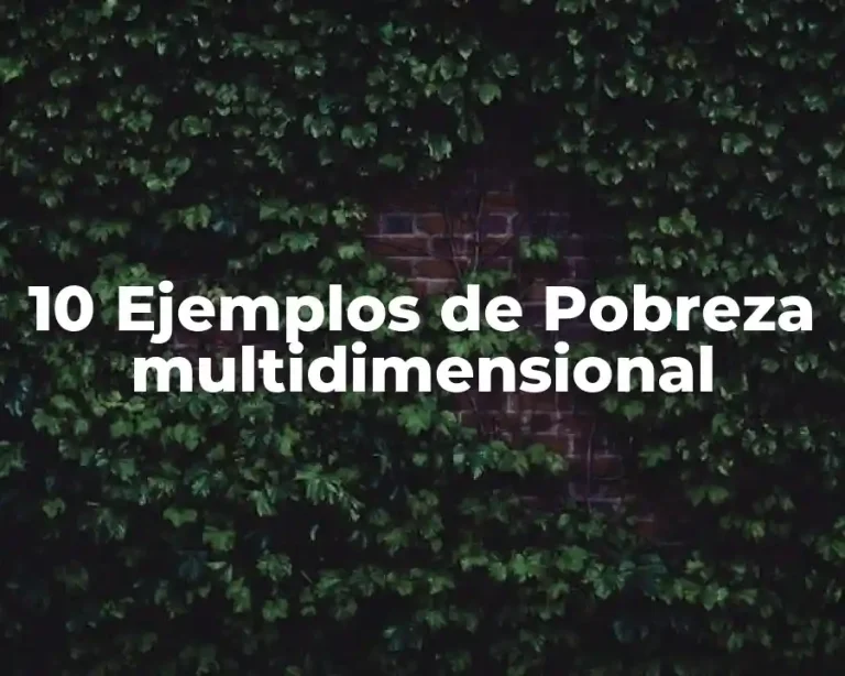 10 Ejemplos de Pobreza multidimensional