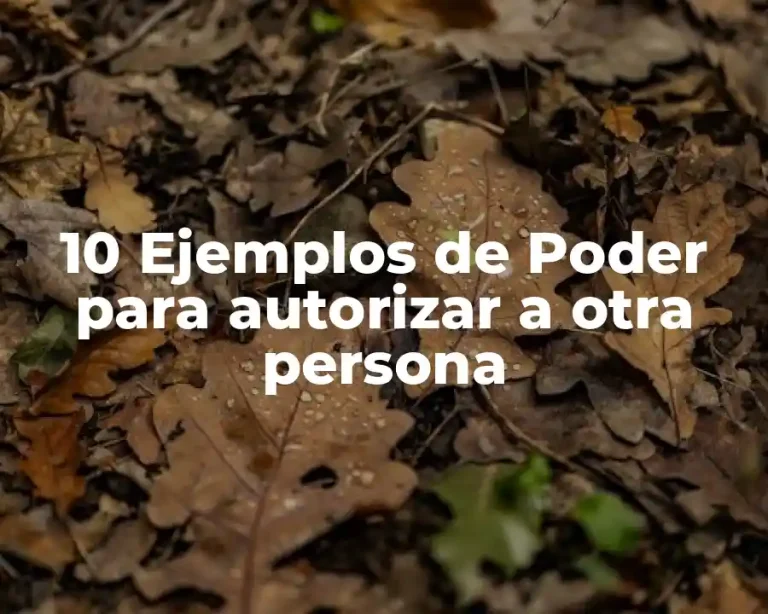 10 Ejemplos de Poder para autorizar a otra persona