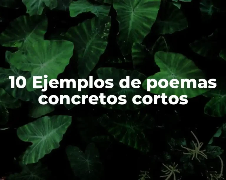 10 Ejemplos de poemas concretos cortos