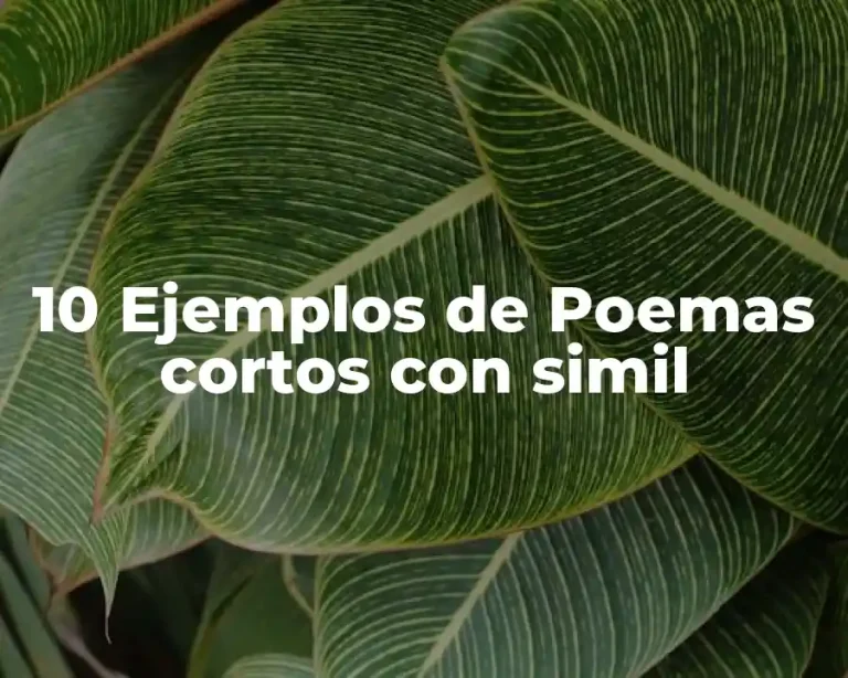 10 Ejemplos de Poemas cortos con simil