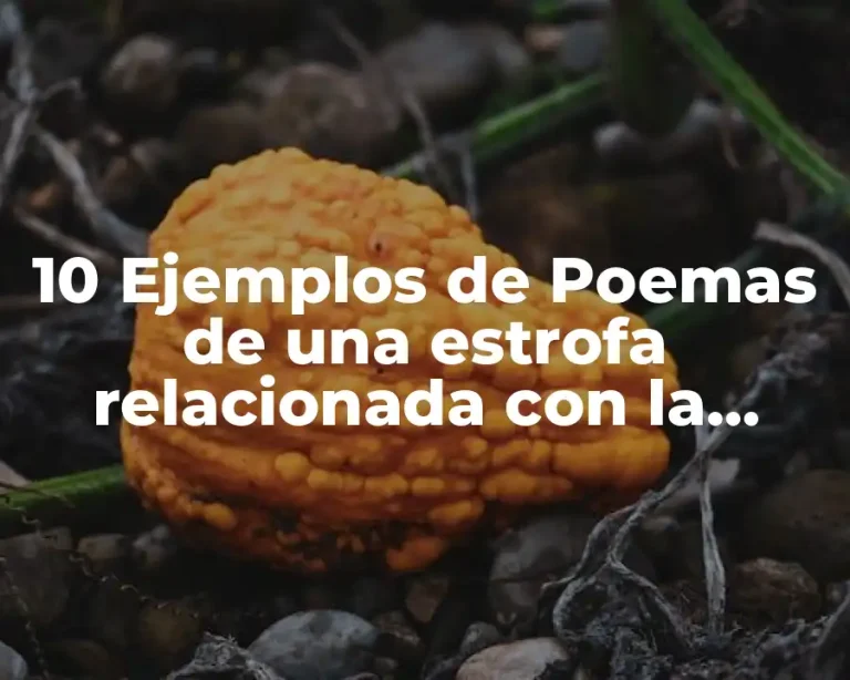10 Ejemplos de Poemas de una estrofa relacionada con la escuela
