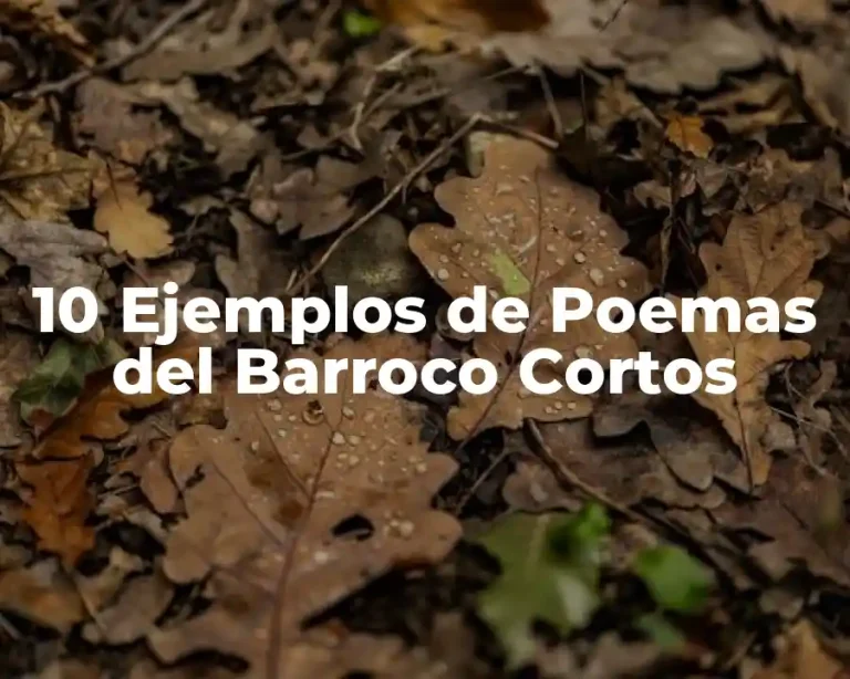 10 Ejemplos de Poemas del Barroco Cortos