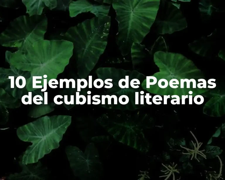 10 Ejemplos de Poemas del cubismo literario