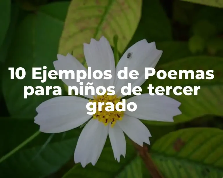 10 Ejemplos de Poemas para niños de tercer grado