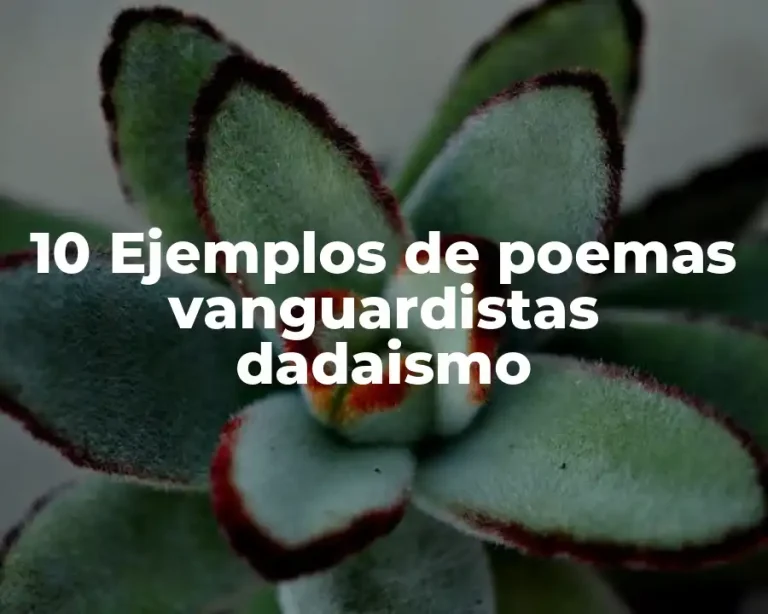 10 Ejemplos de poemas vanguardistas dadaismo