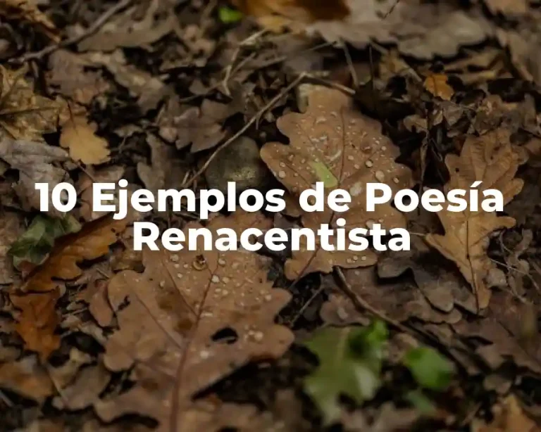 10 Ejemplos de Poesía Renacentista