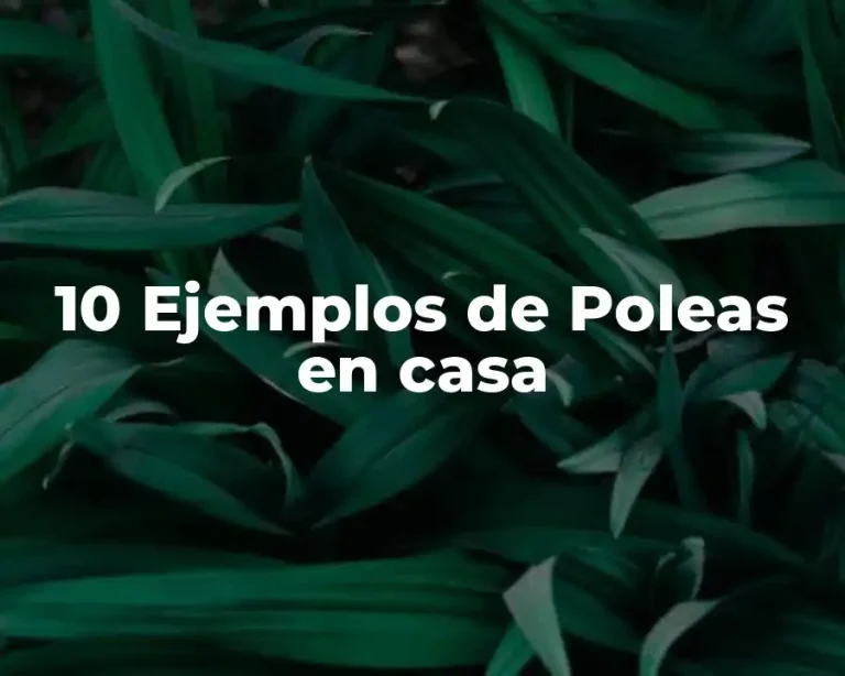 10 Ejemplos de Poleas en casa