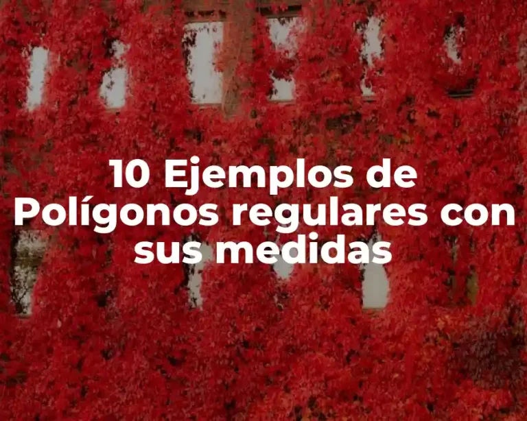 10 Ejemplos de Polígonos regulares con sus medidas