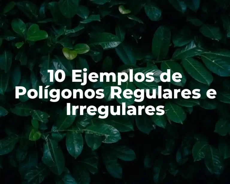 10 Ejemplos de Polígonos Regulares e Irregulares