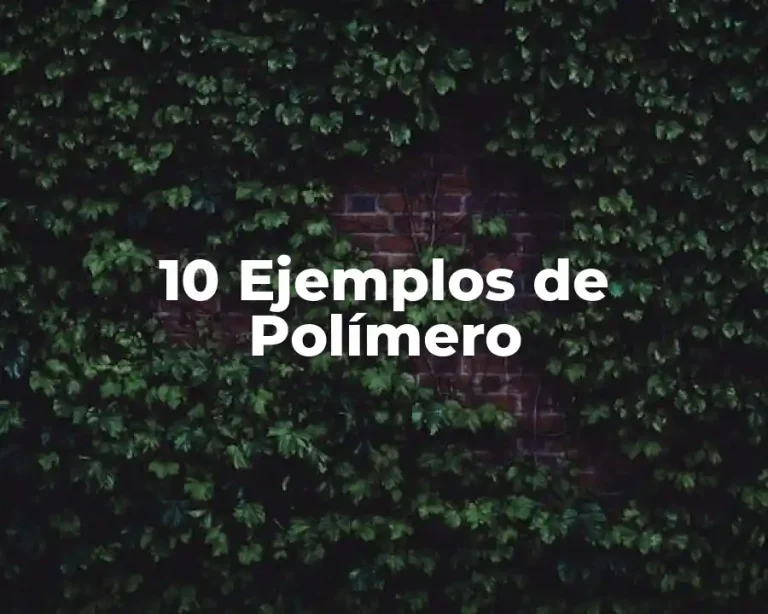 10 Ejemplos de Polímero