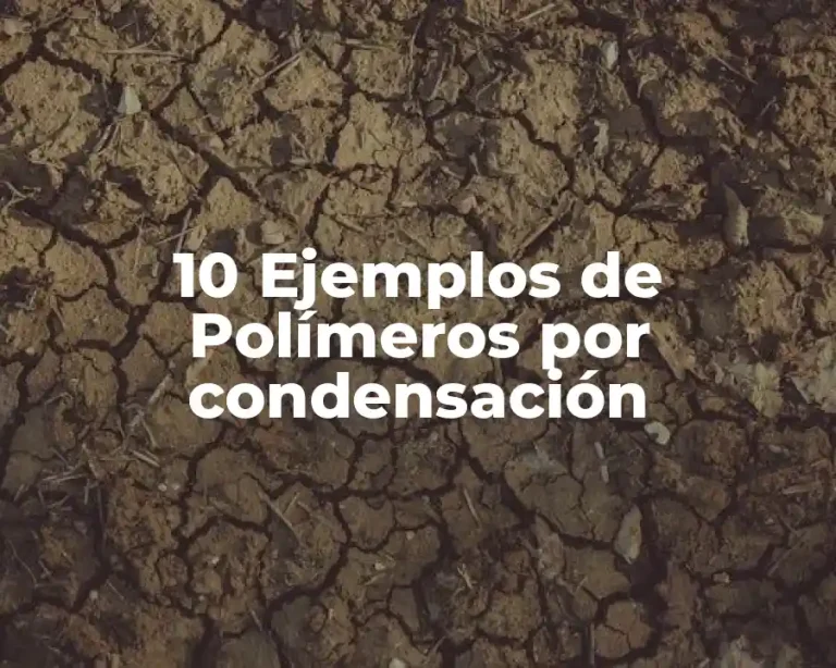 10 Ejemplos de Polímeros por condensación
