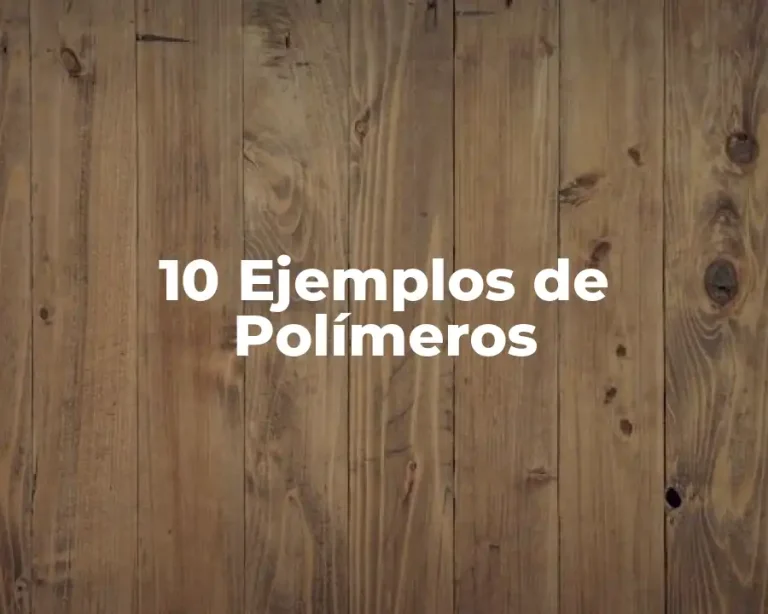 10 Ejemplos de Polímeros