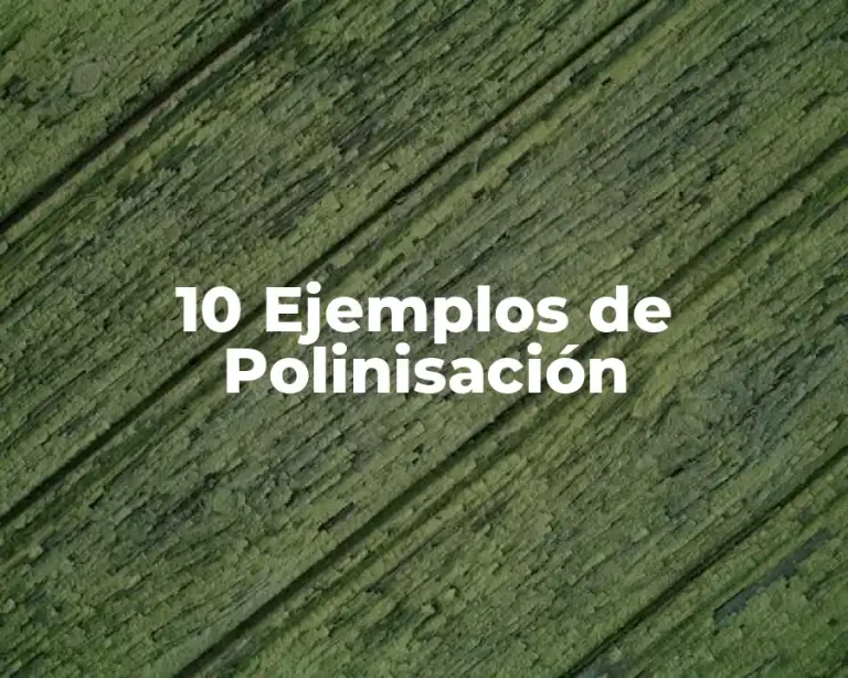 10 Ejemplos de Polinisación