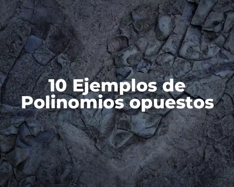 10 Ejemplos de Polinomios opuestos