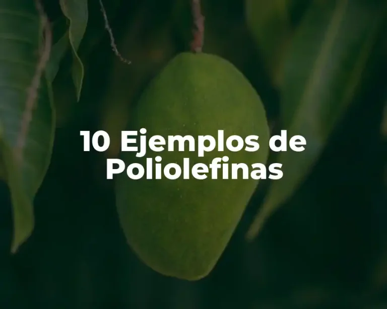 10 Ejemplos de Poliolefinas