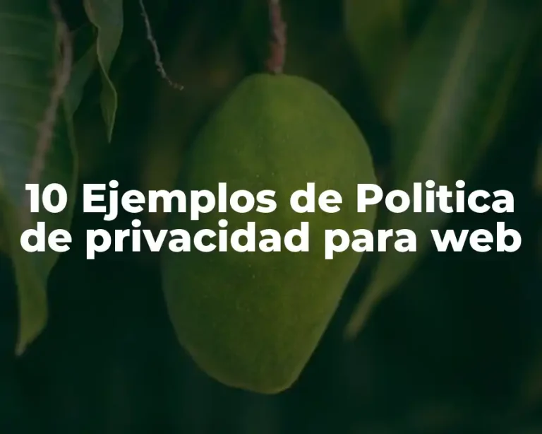 10 Ejemplos de Politica de privacidad para web