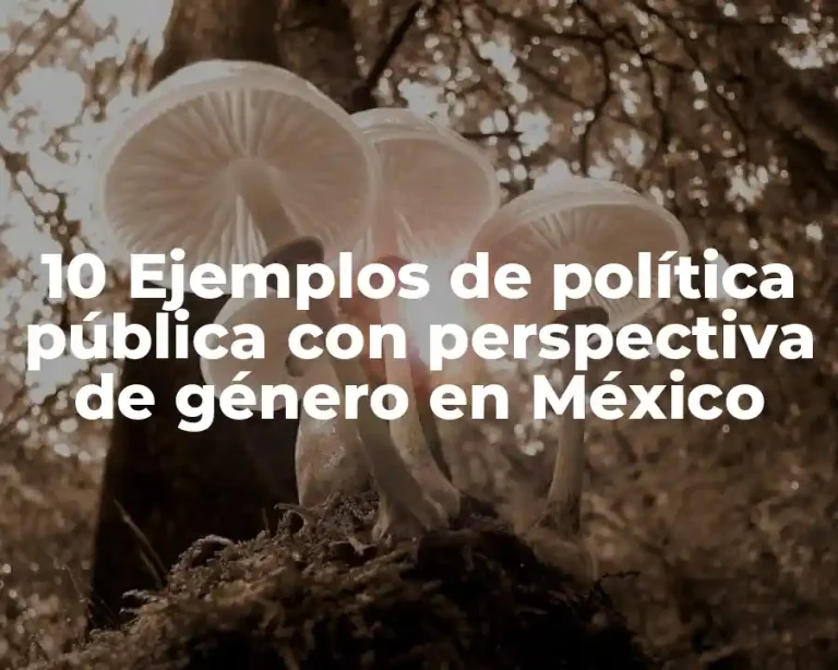 10 Ejemplos de política pública con perspectiva de género en México