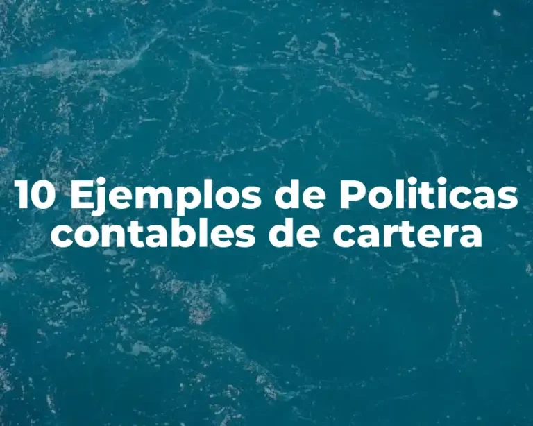 10 Ejemplos de Politicas contables de cartera