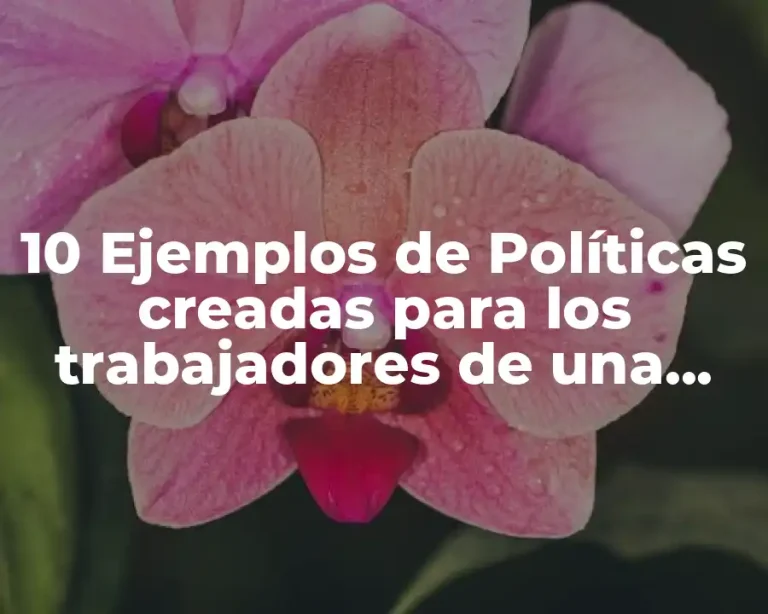 10 Ejemplos de Políticas creadas para los trabajadores de una empresa