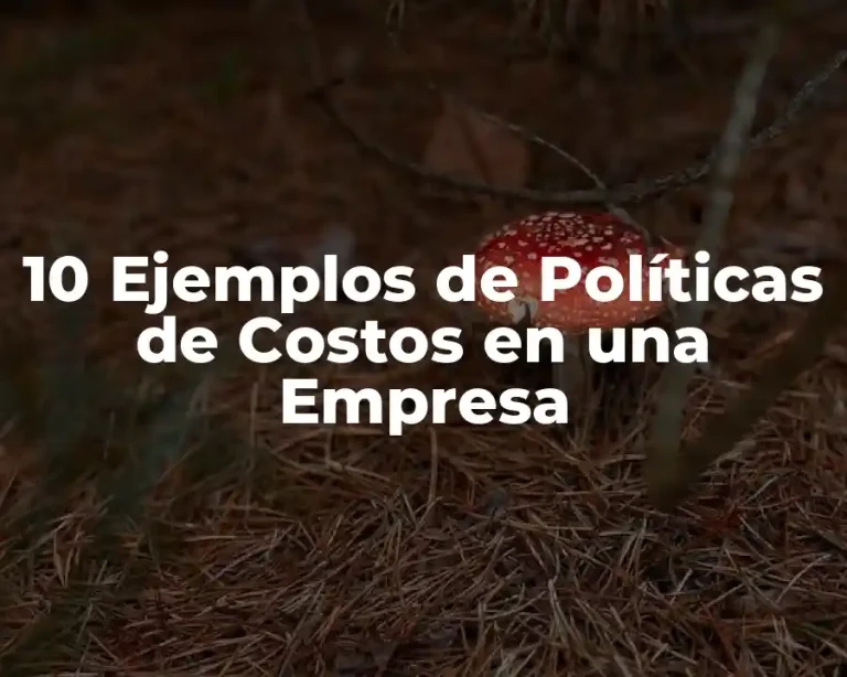 10 Ejemplos de Políticas de Costos en una Empresa