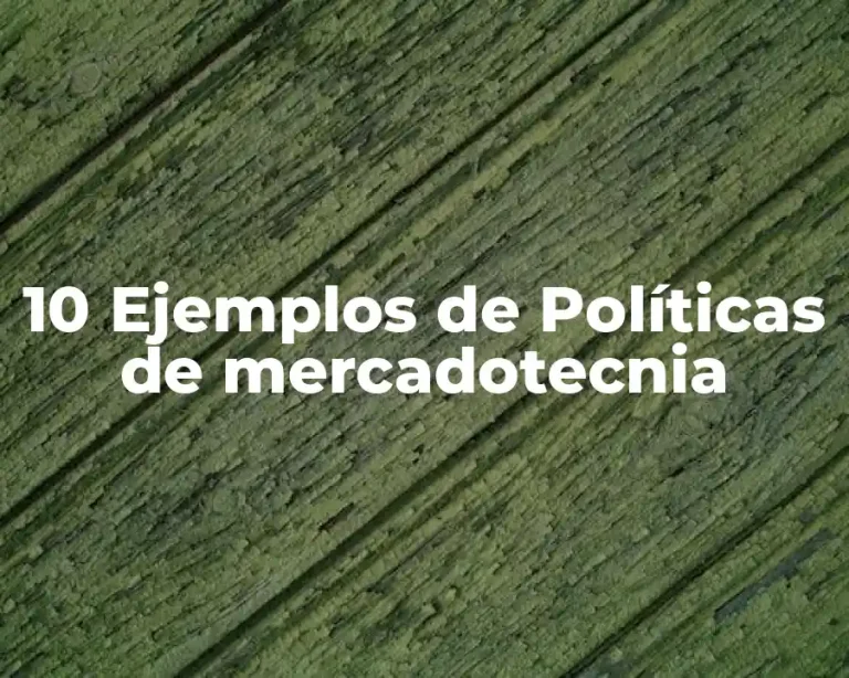 10 Ejemplos de Políticas de mercadotecnia