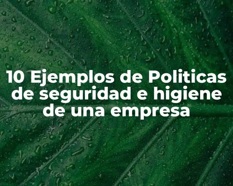 10 Ejemplos de Politicas de seguridad e higiene de una empresa